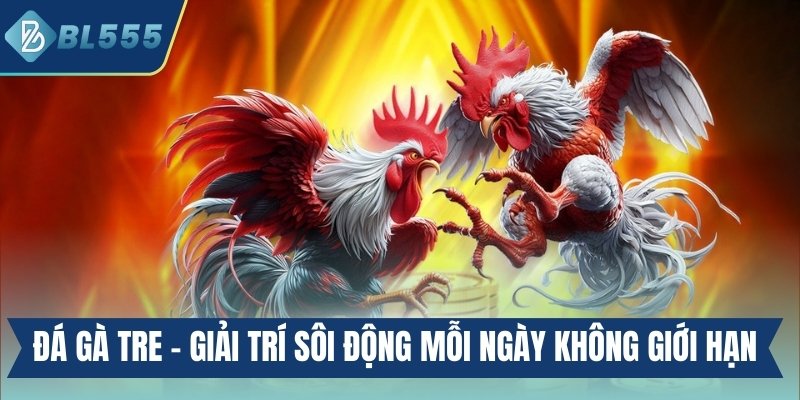 Đá gà tre - Giải trí sôi động mỗi ngày không giới hạn