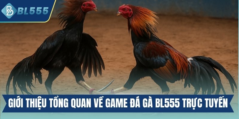Giới thiệu tổng quan về game đá gà BL555 trực tuyến