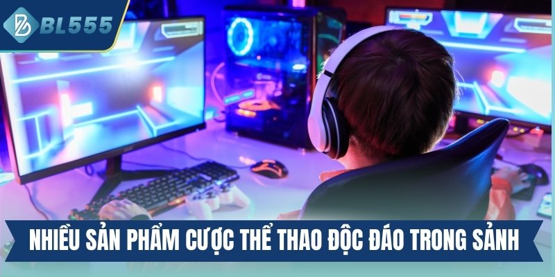 Nhiều sản phẩm cược thể thao độc đáo có mặt trong sảnh